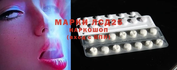 шишки Богородицк