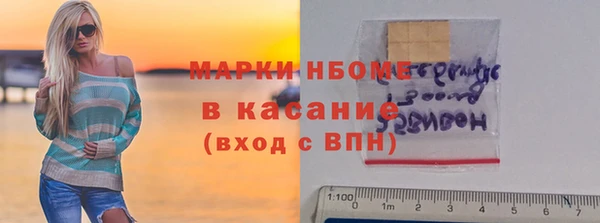 шишки Богородицк