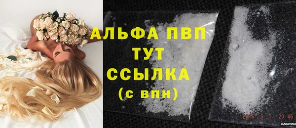 шишки Богородицк