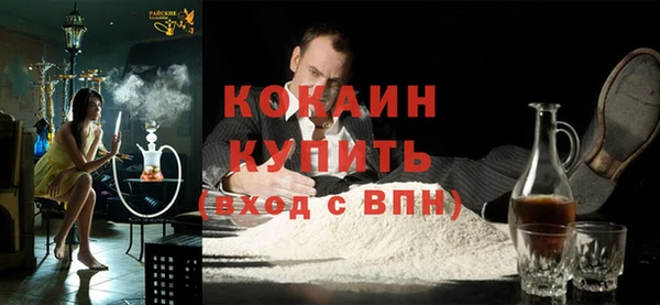 шишки Богородицк