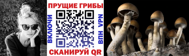 ОМГ ОМГ как войти  магазин продажи   Пушкино  Псилоцибиновые грибы GOLDEN TEACHER 